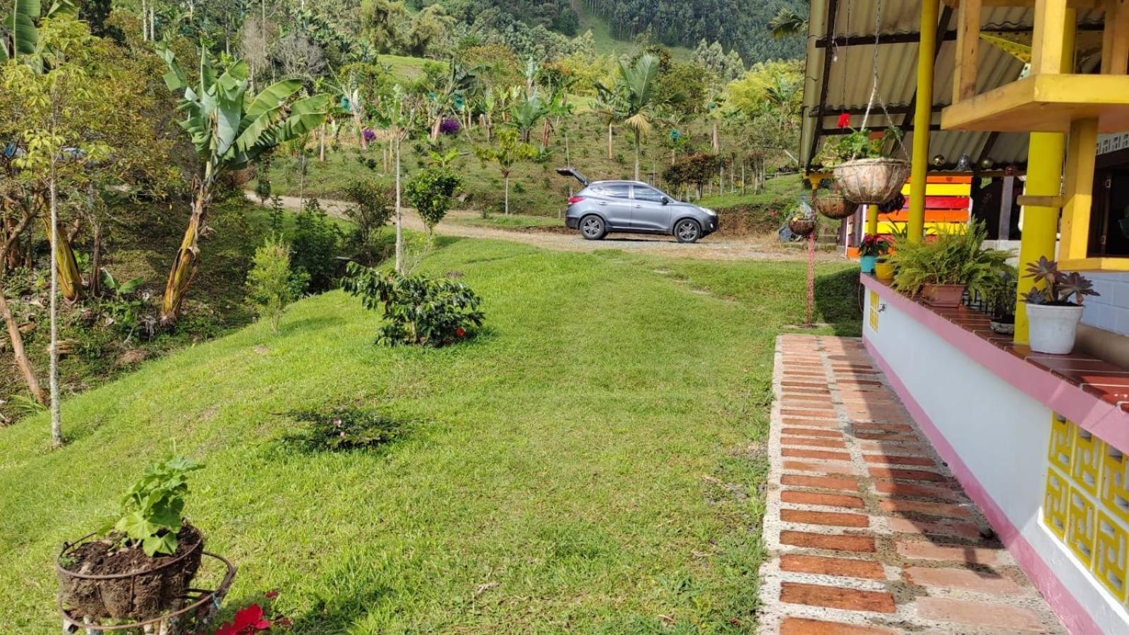 Finca La Antigua. finca tradicional Cafetera