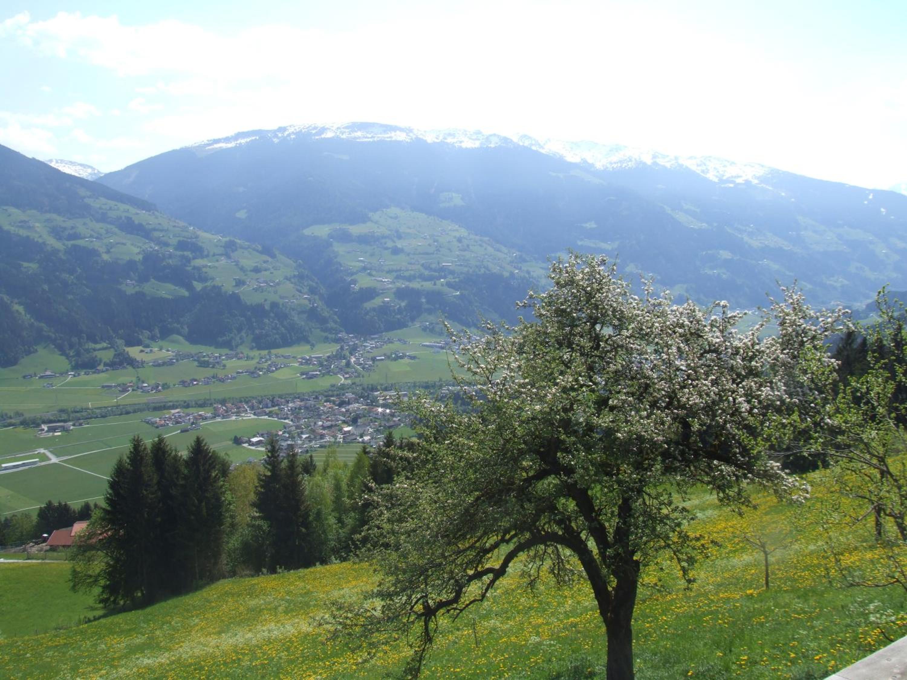 Photo 33
