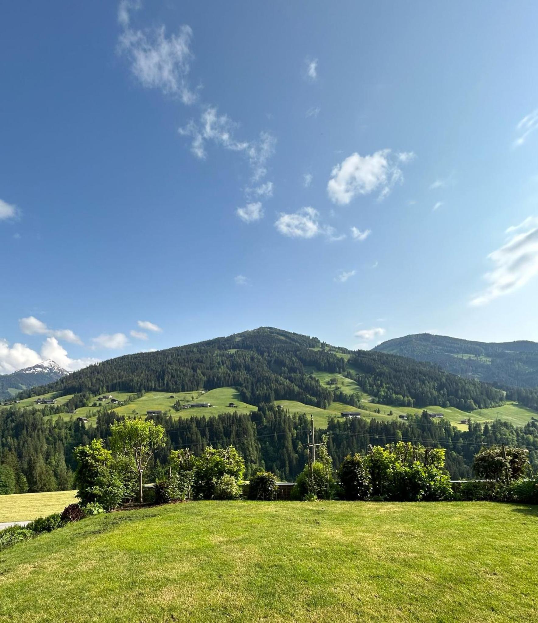 Haus Schmetterling