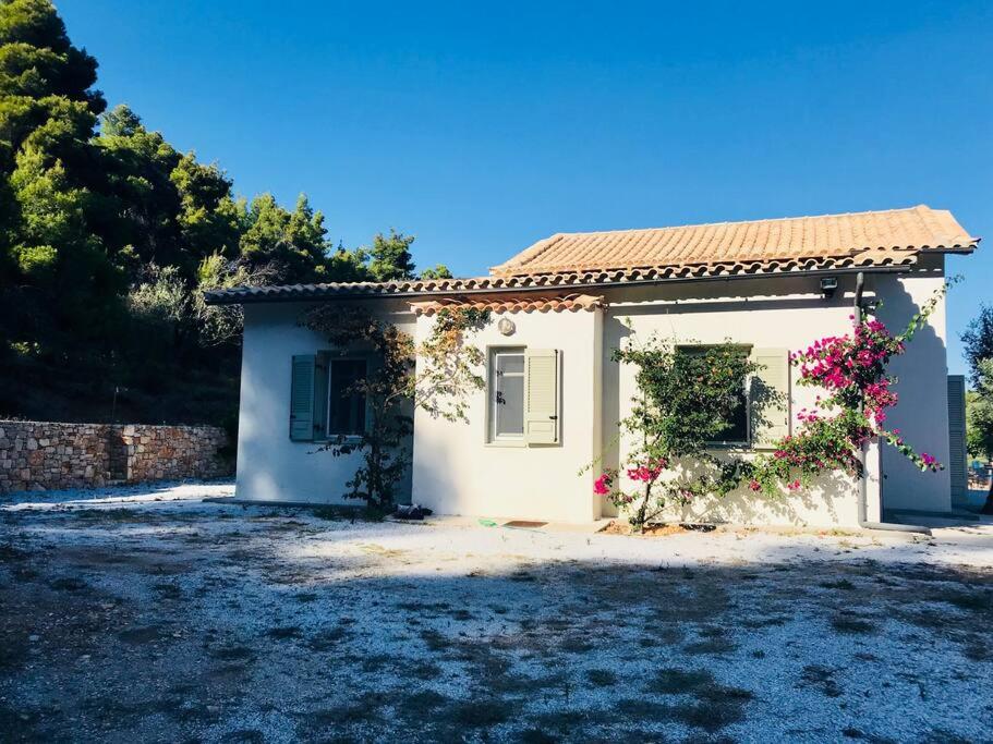 Thymari House