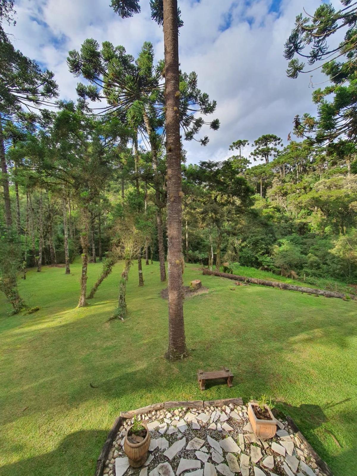 Casa em Campos do Jordão próximo do Capivari com 4 Suítes