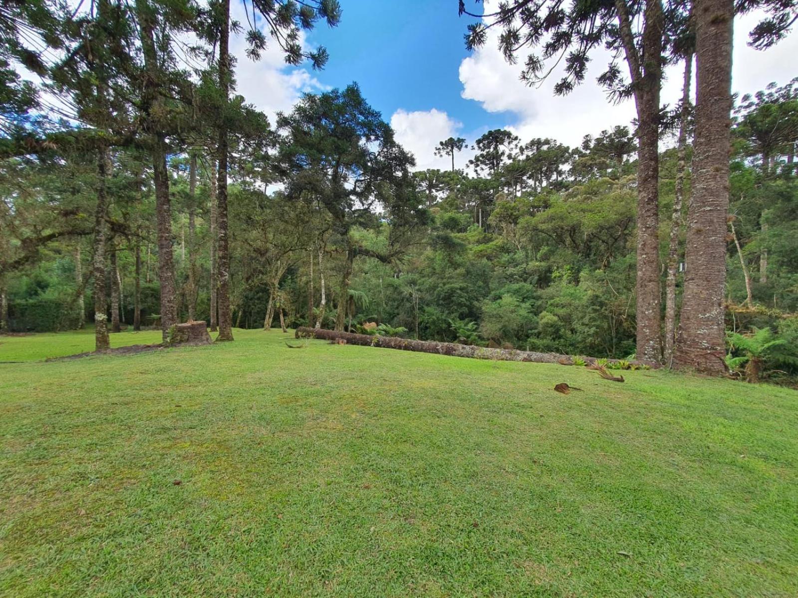 Casa em Campos do Jordão próximo do Capivari com 4 Suítes