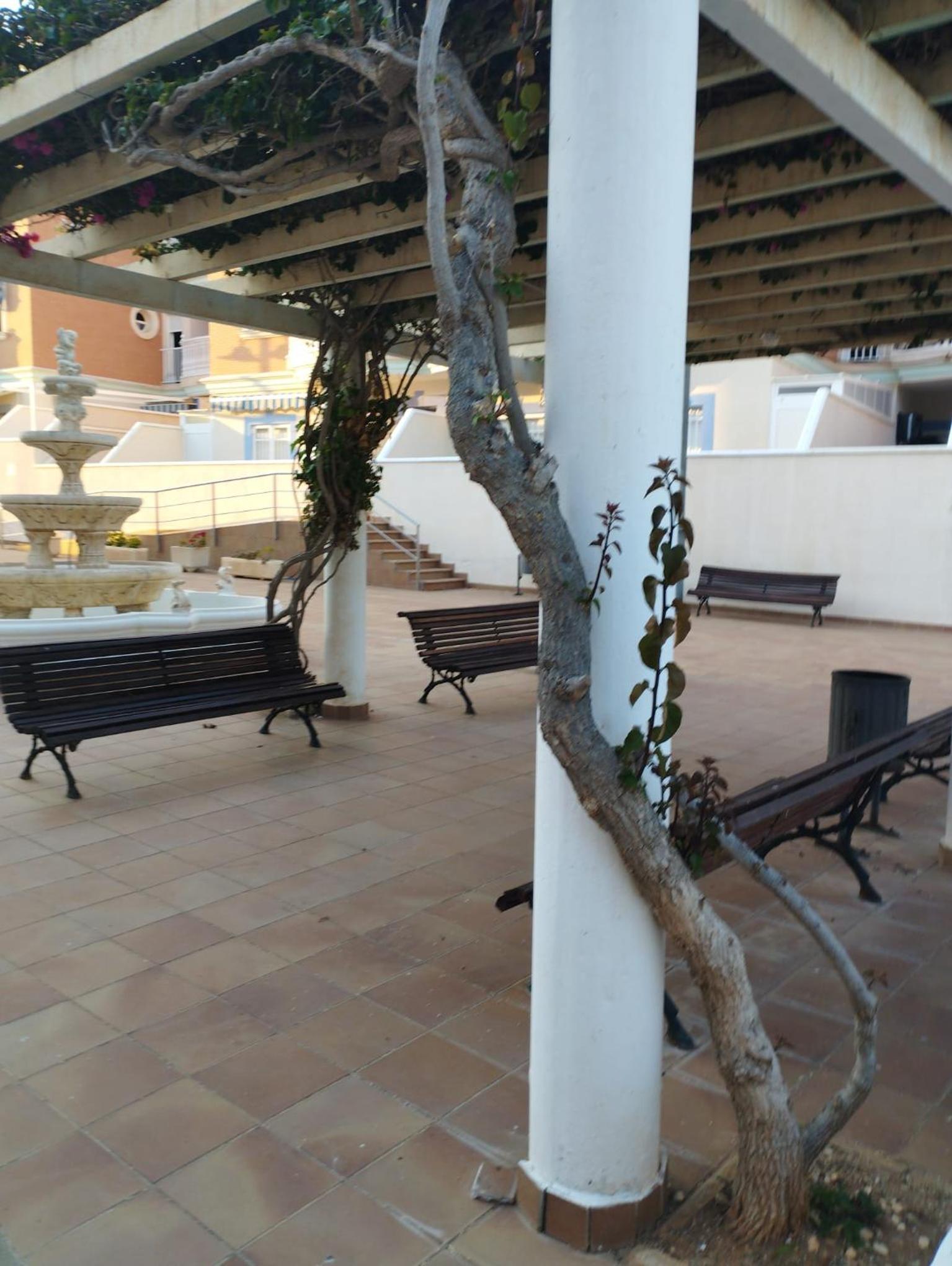 Apartamento Esbamar