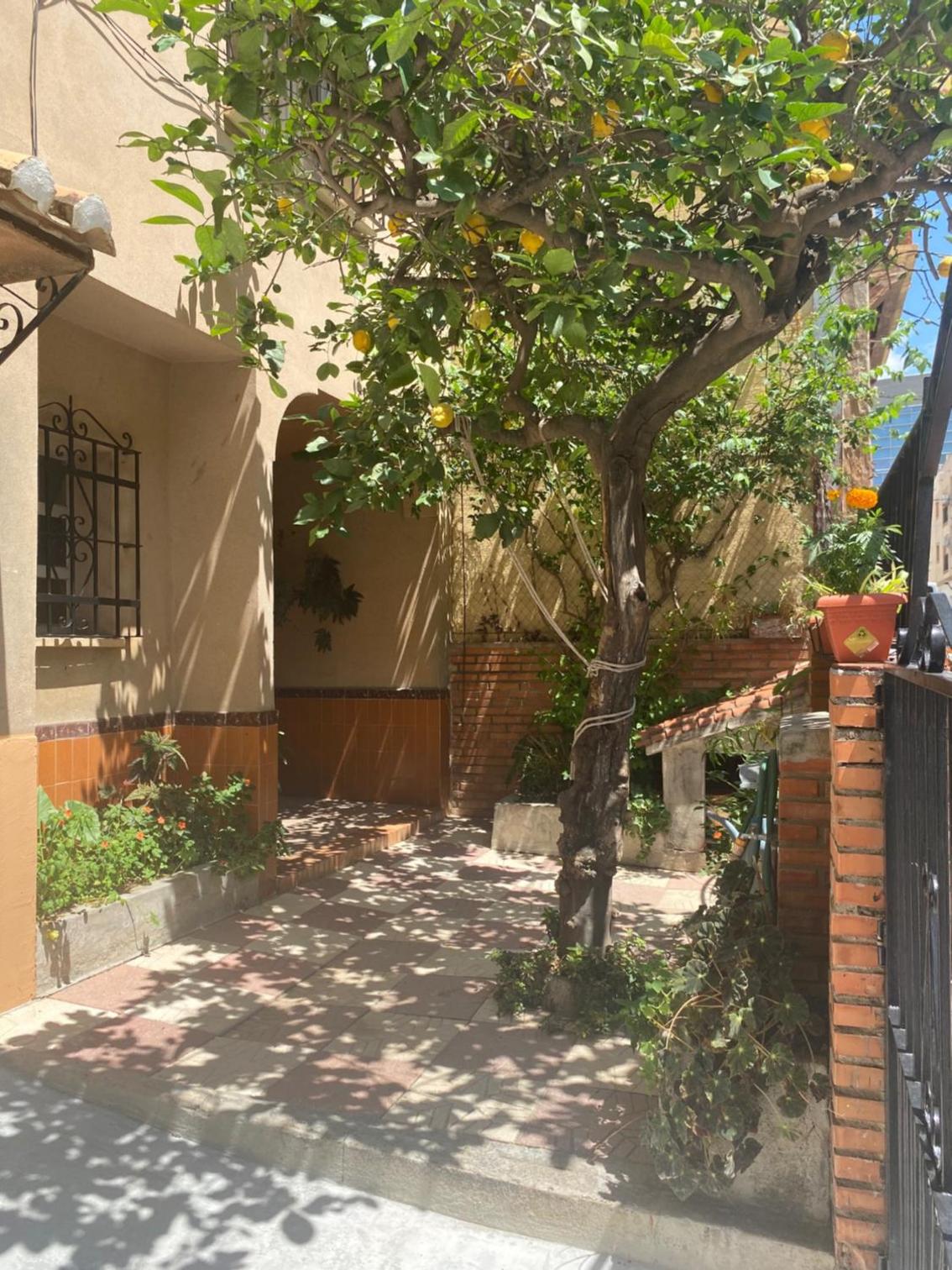 Fuengirola Beach Luxury Villa