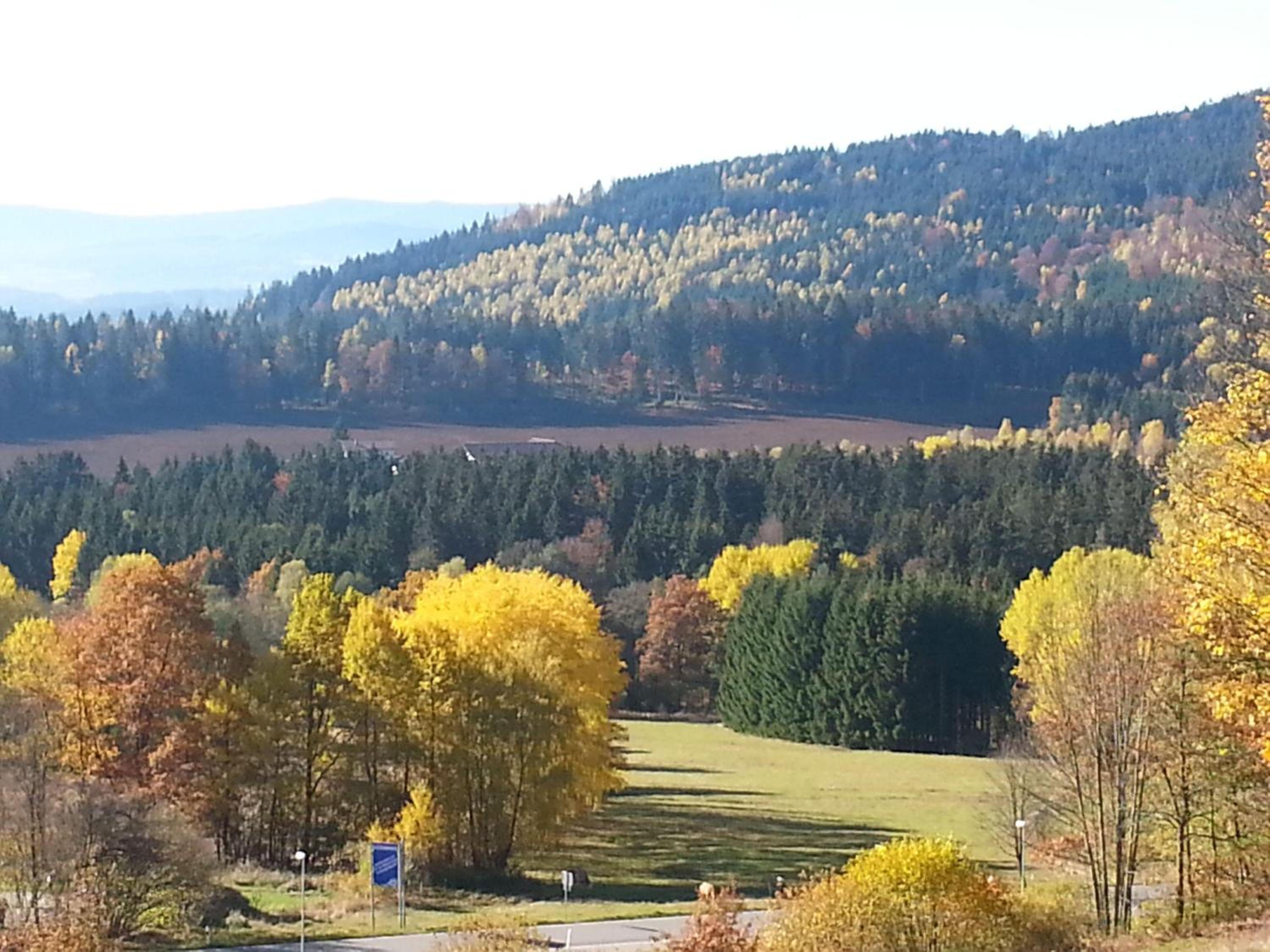 Ferienwohnung-Panoramablick-1