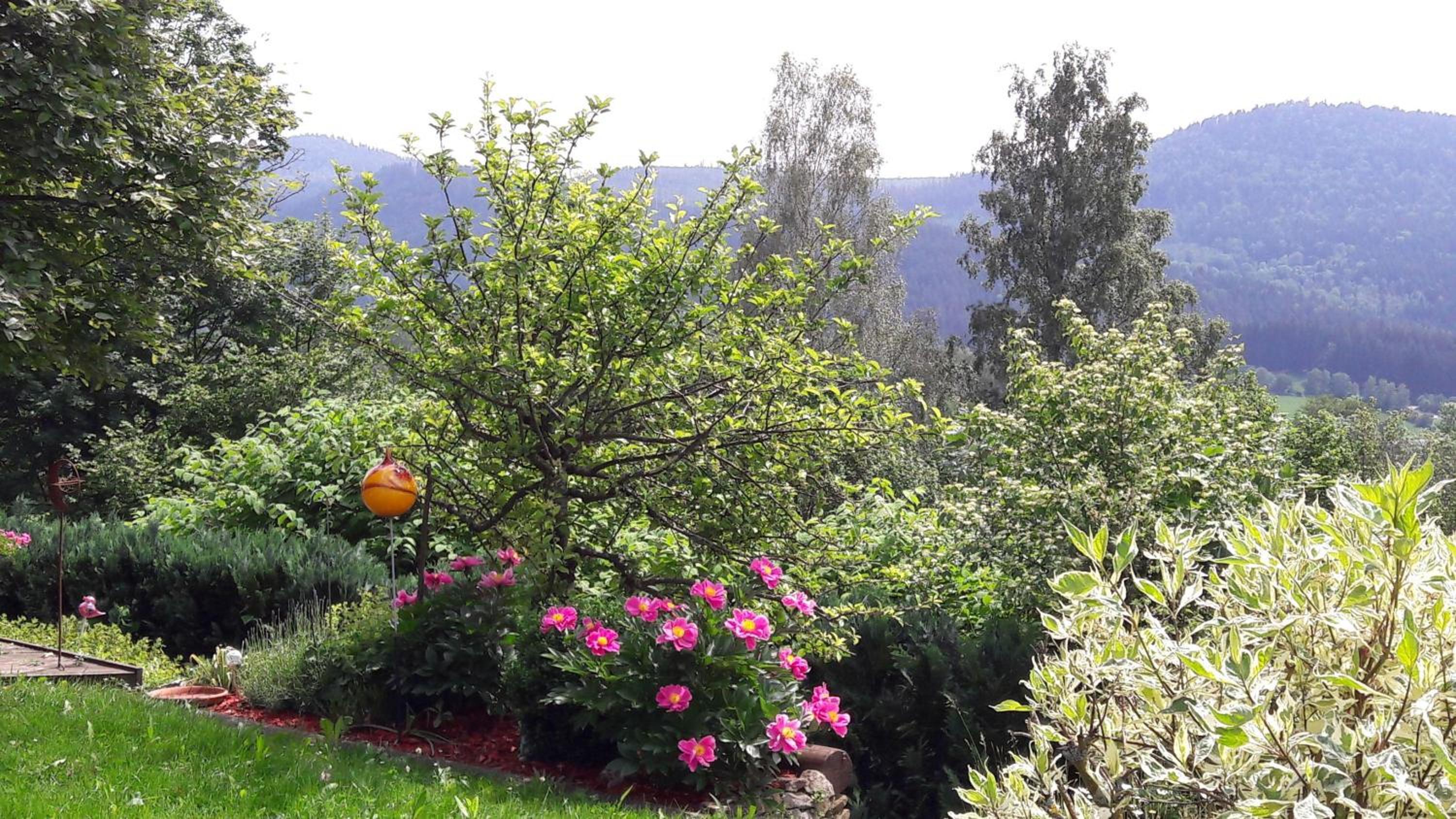 Ferienwohnung-Panoramablick-1