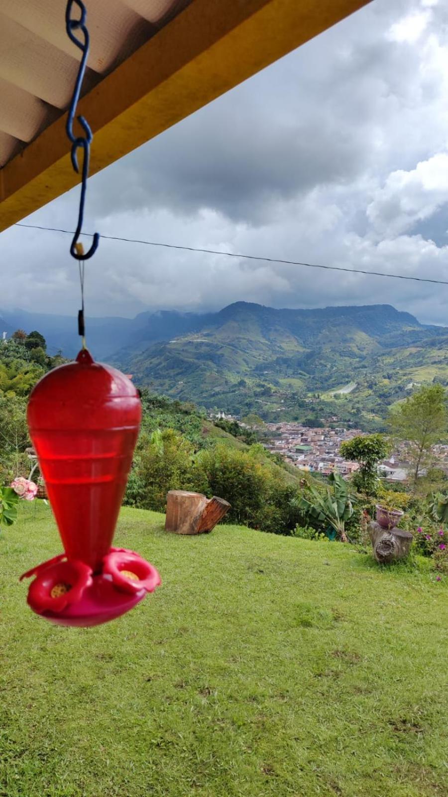 Finca La Antigua. finca tradicional Cafetera