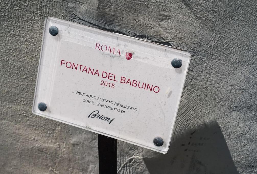 babuino terrace