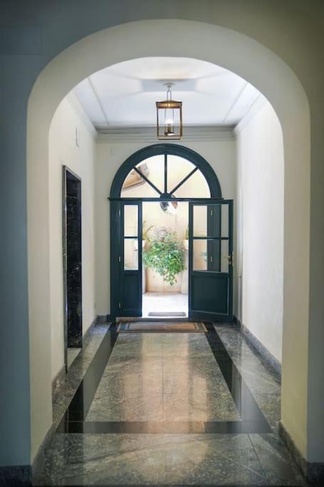 babuino terrace