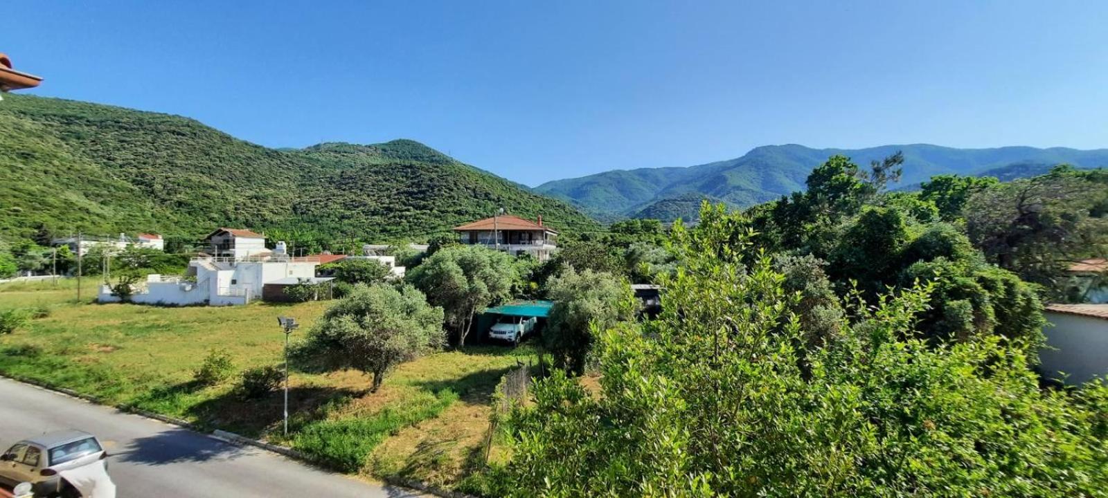 Rea’s house view 2