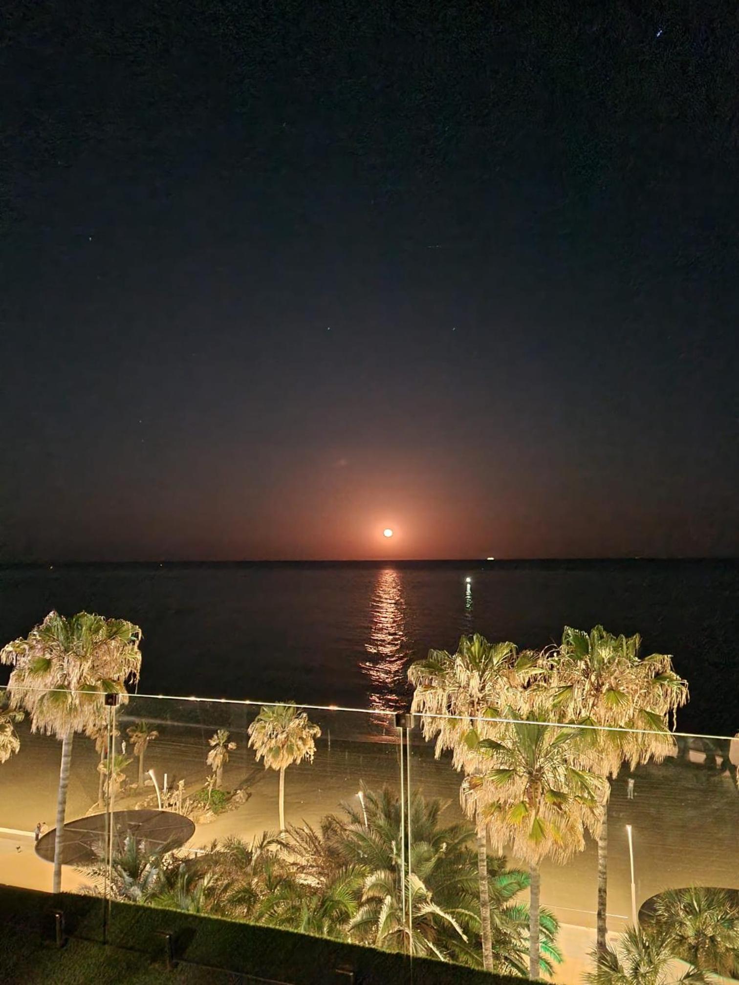 SunnyPalms - Beachfront Penthouse with stunning sea view