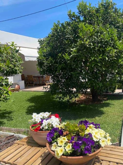 Relaxing House with Garden view 2