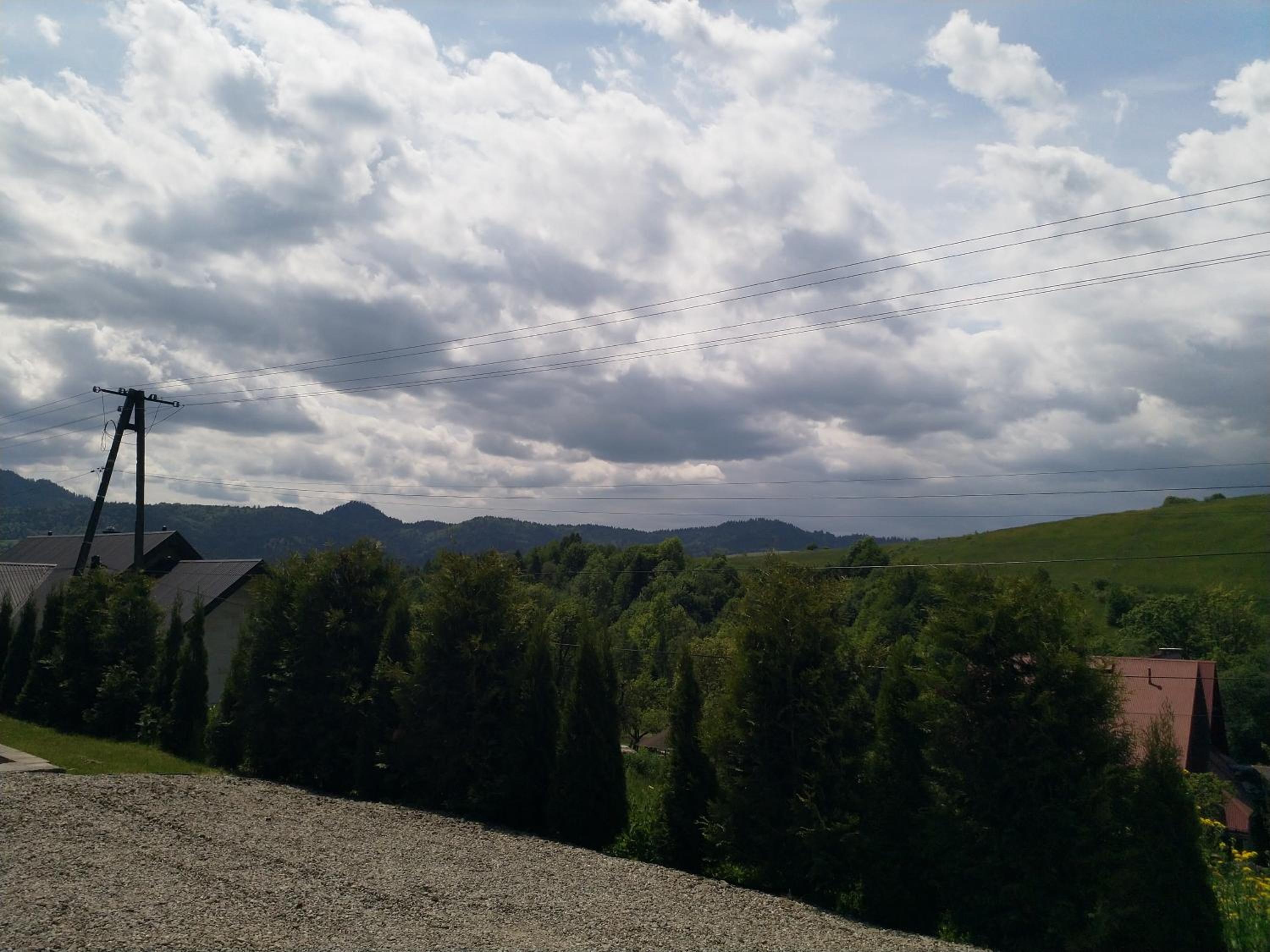 Photo 24