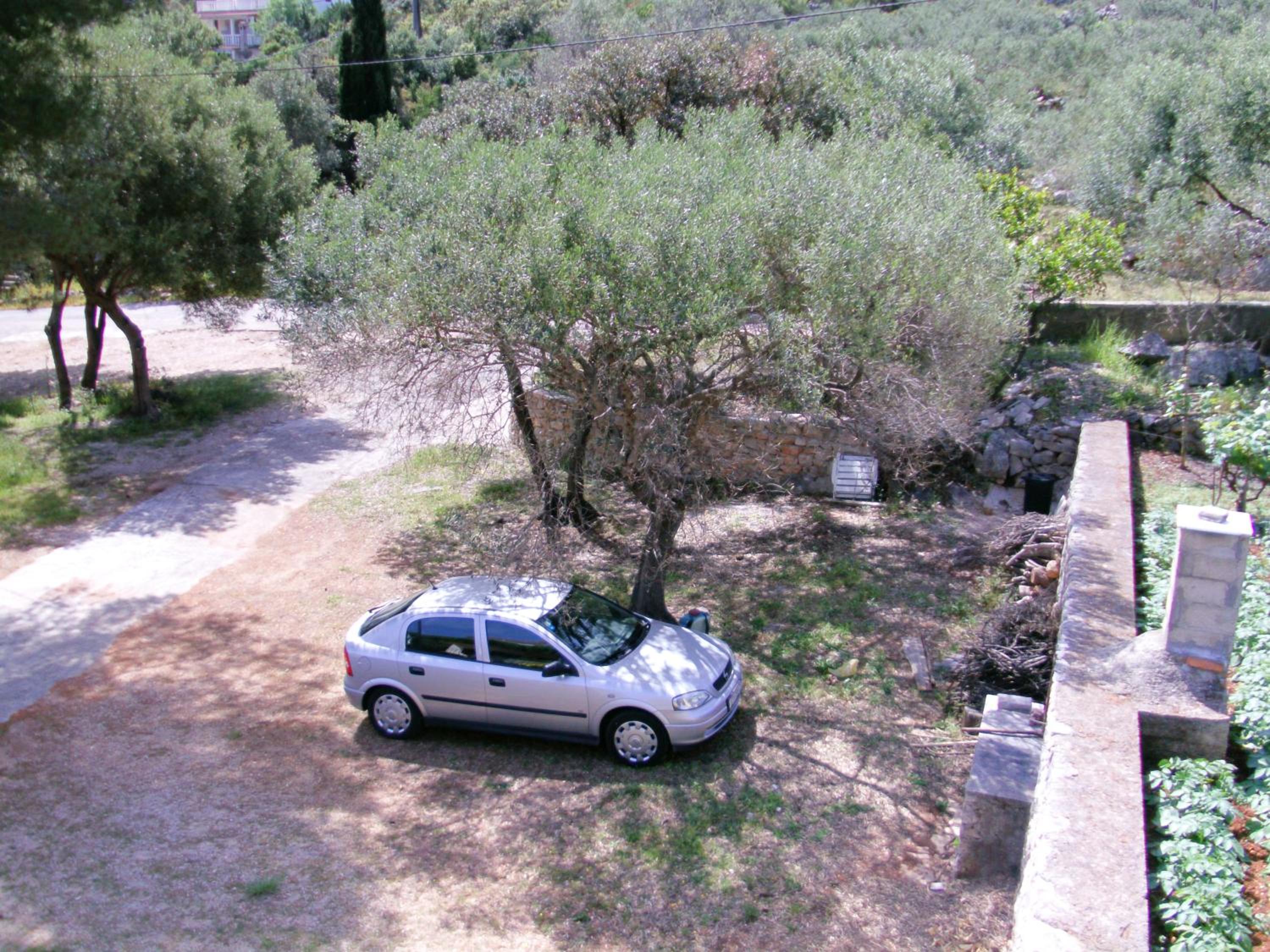 Photo 31