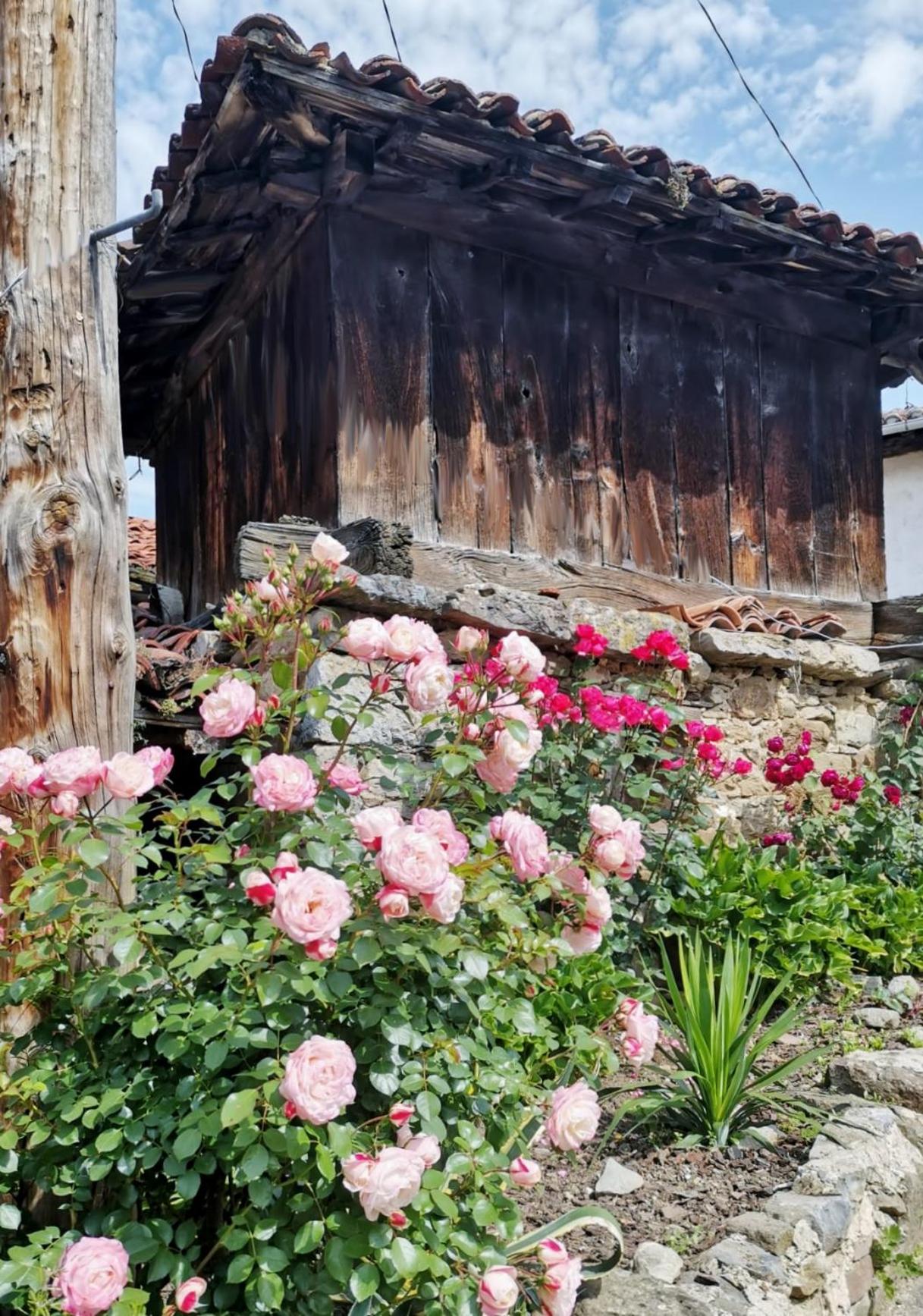 CASA SANTIBAÑEZ DE LA FUENTE