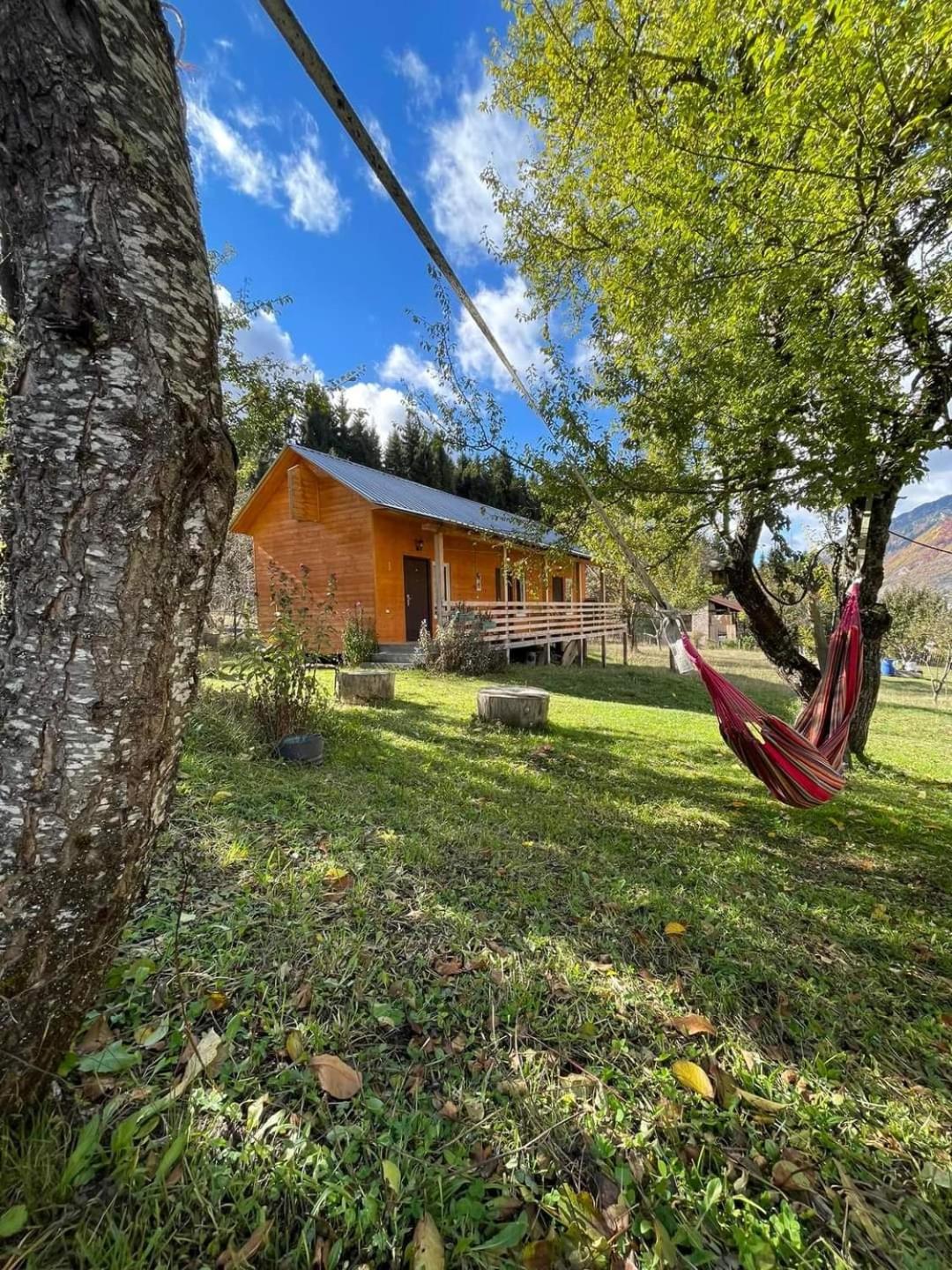 Cottage Shgedi view 2