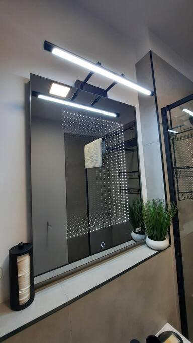 Apartament Erika Premium Sinaia