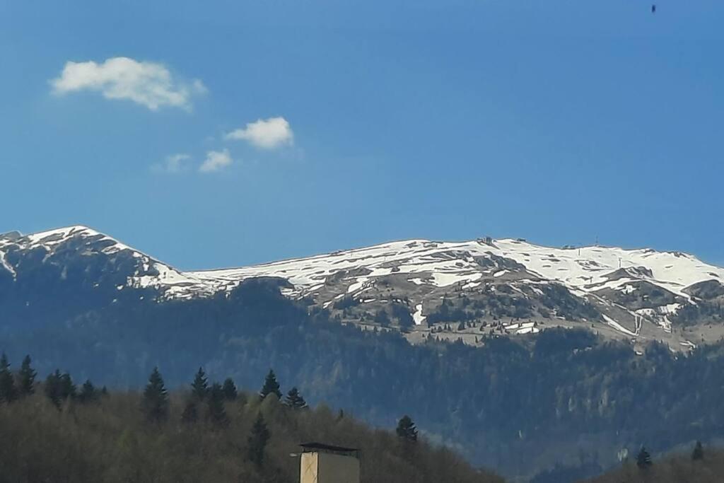 Apartament Erika Premium Sinaia