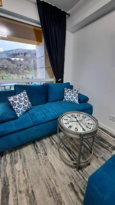 Apartament Erika Premium Sinaia