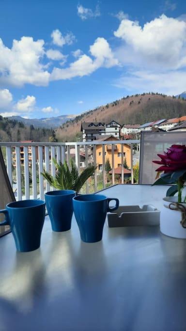 Apartament Erika Premium Sinaia