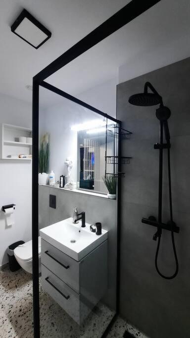 Apartament Erika Premium Sinaia