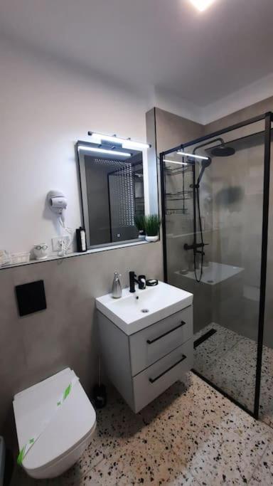 Apartament Erika Premium Sinaia