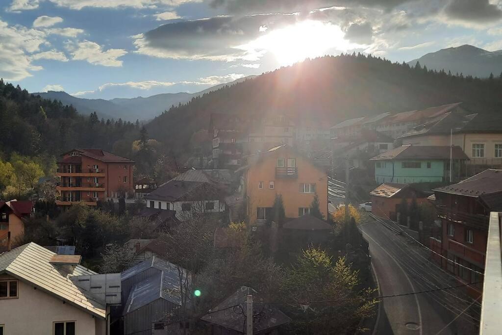 Apartament Erika Premium Sinaia