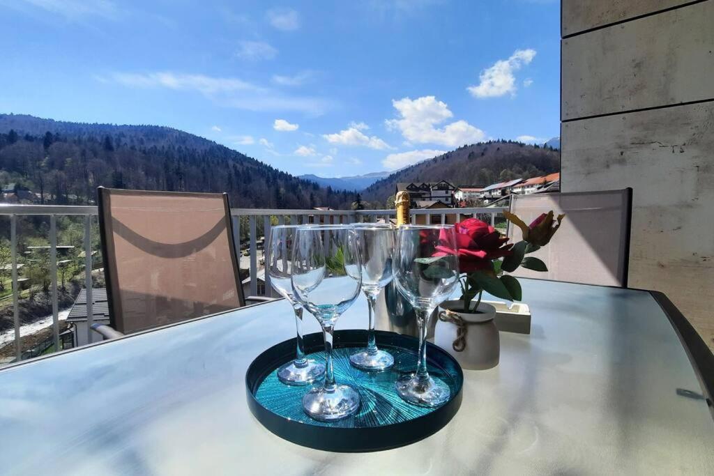 Apartament Erika Premium Sinaia