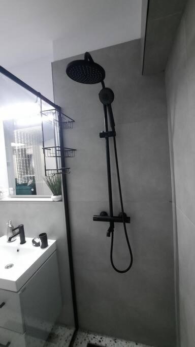 Apartament Erika Premium Sinaia