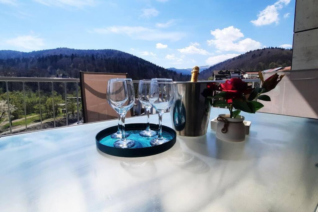 Apartament Erika Premium Sinaia