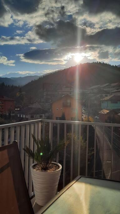 Apartament Erika Premium Sinaia