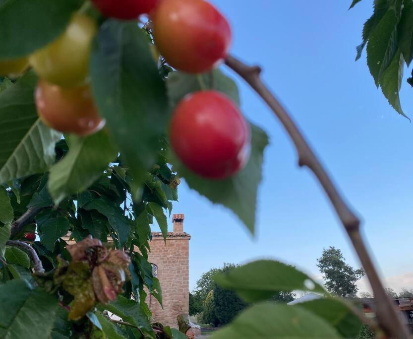Vila-seca Vall d'Amunt, vine i desconnecta! view 2
