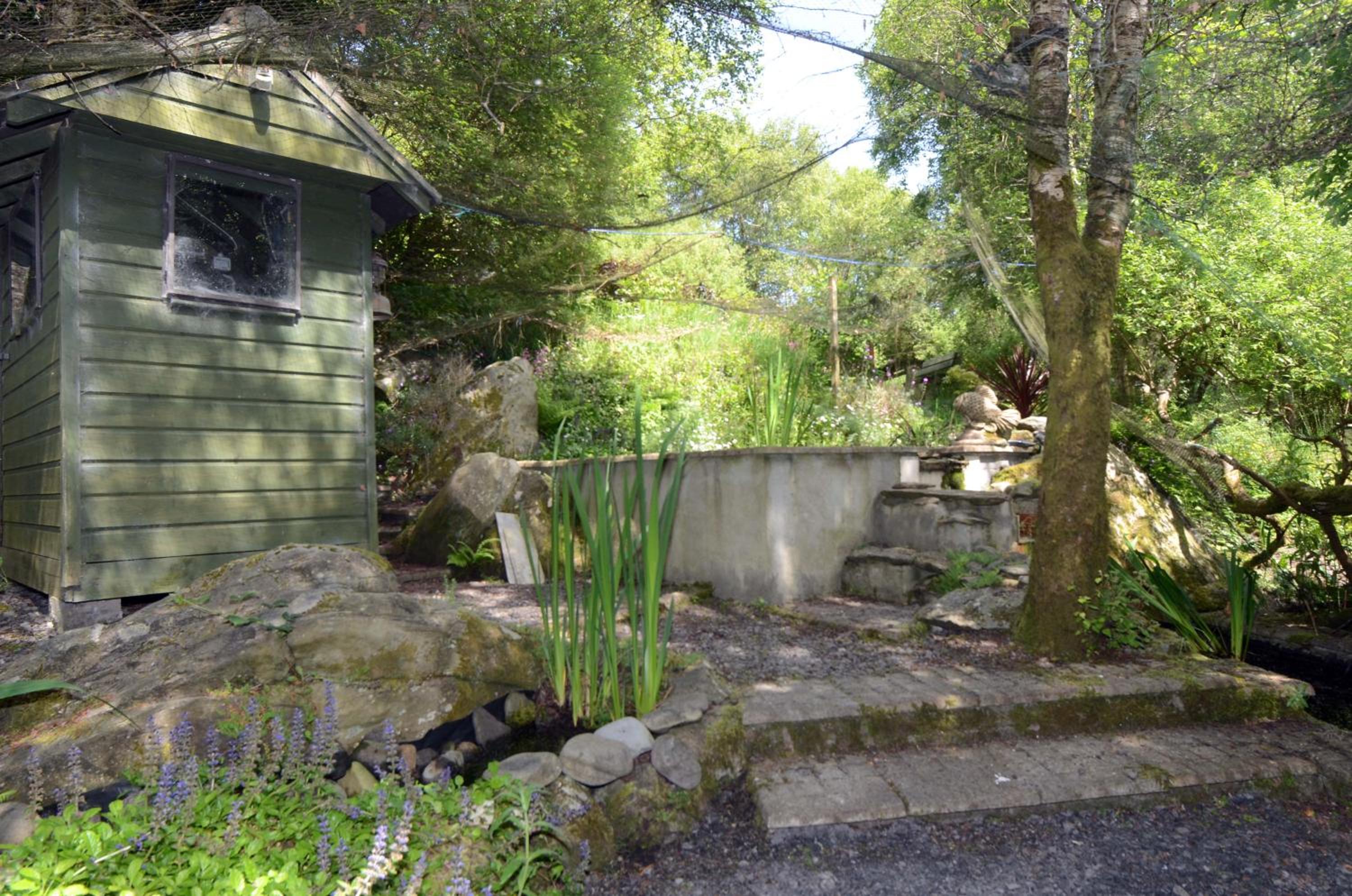 Photo 29