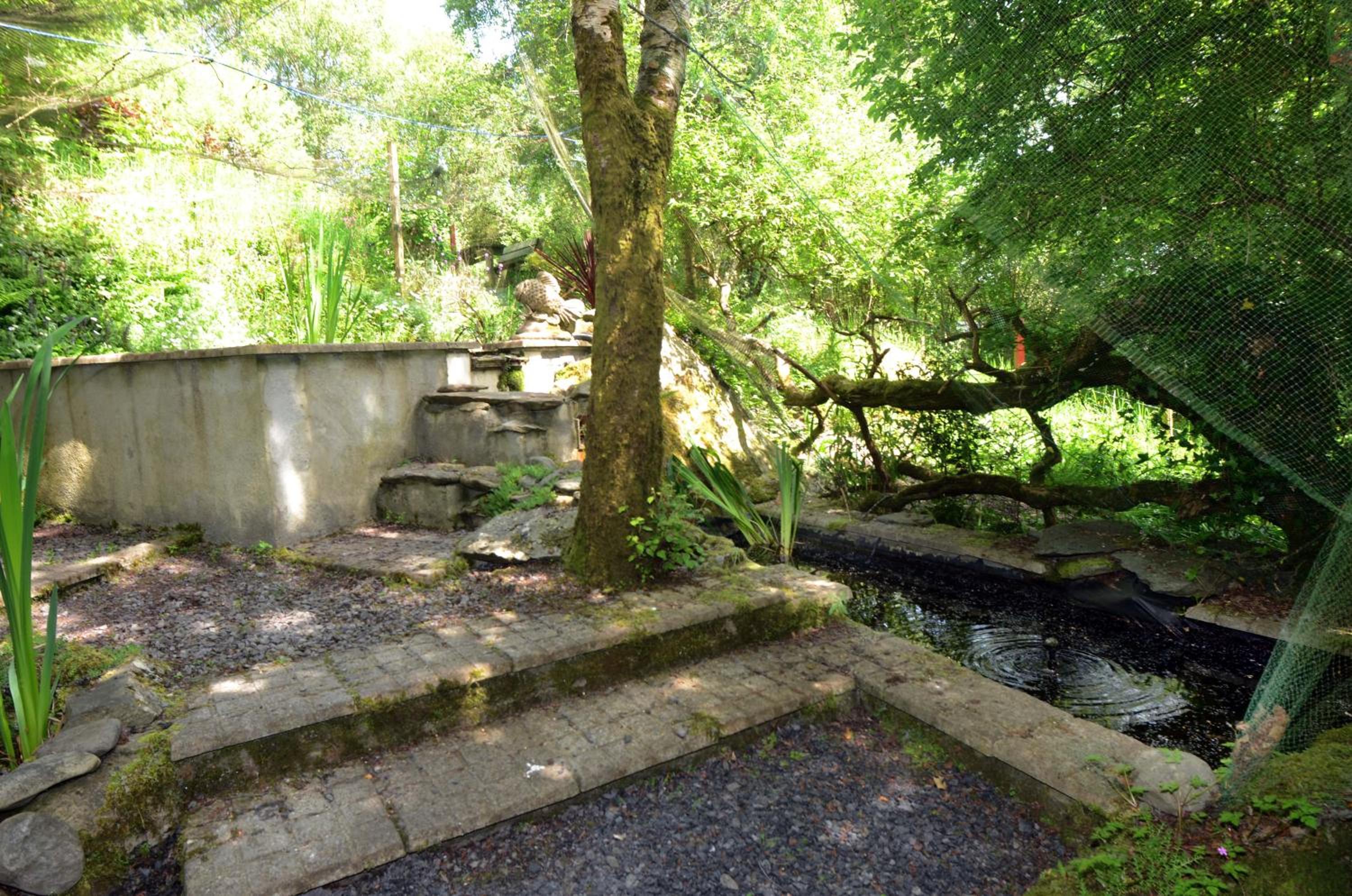 Photo 27