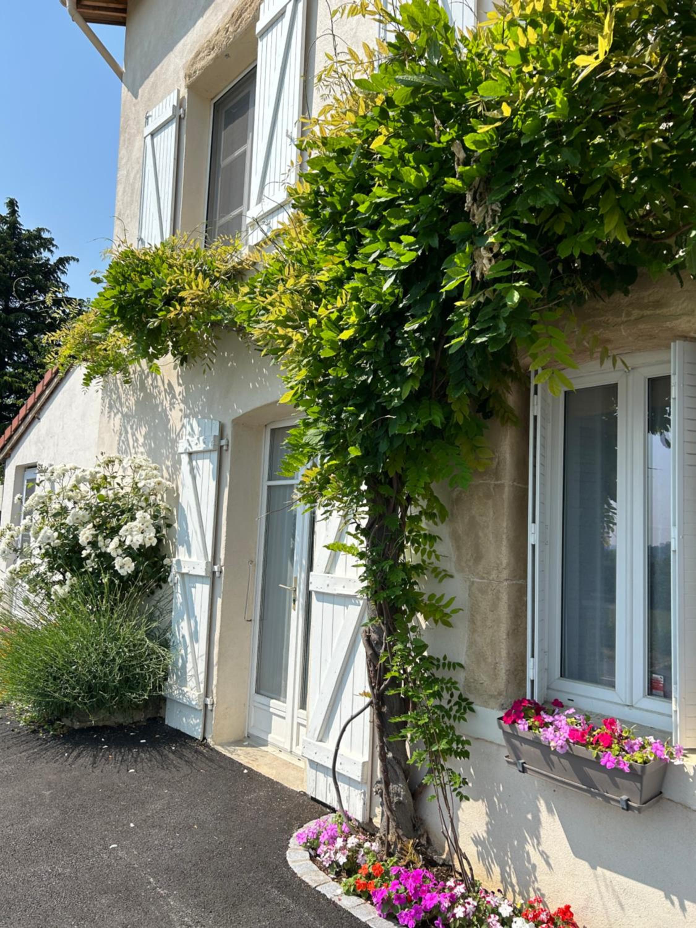 La Glycine B&B view 3