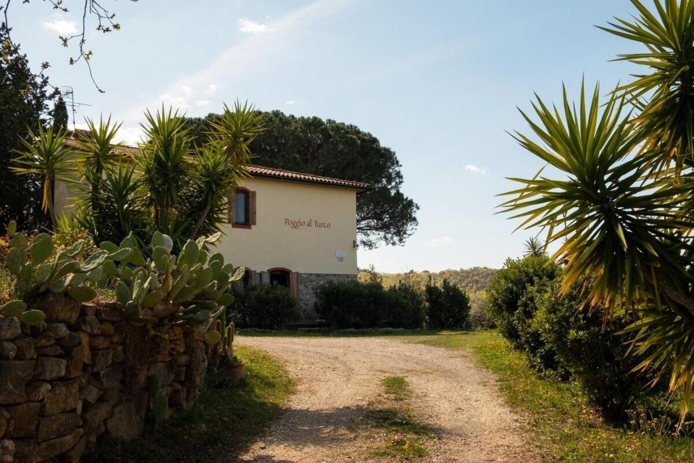 Agriturismo Poggio al Turco - Vista Toscana - a76164 view 4