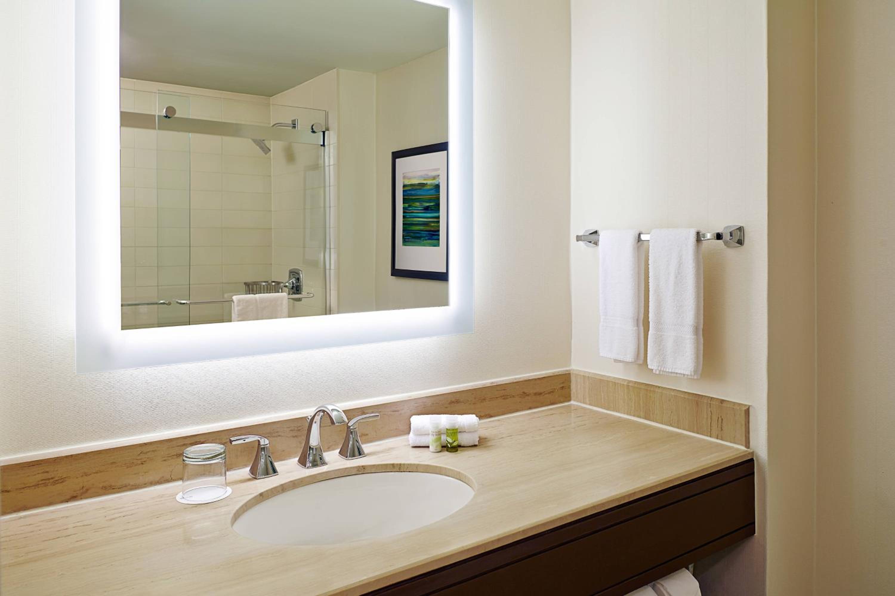 The Westin Waltham Boston - Property Image 45