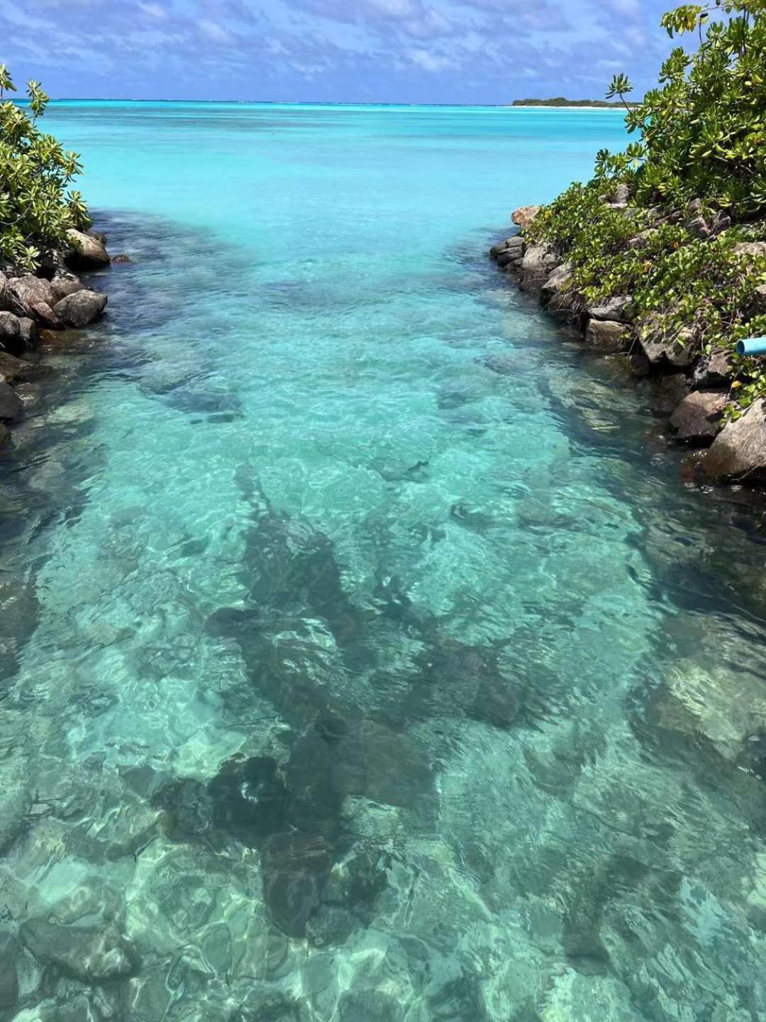 SIS Tourist Villa, Mathiveri, Maldives