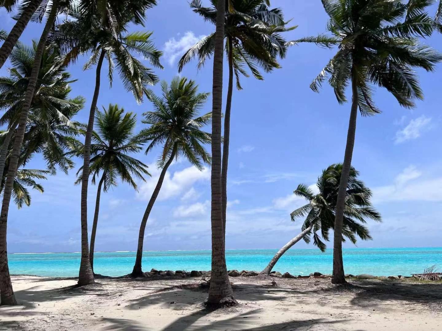 SIS Tourist Villa, Mathiveri, Maldives