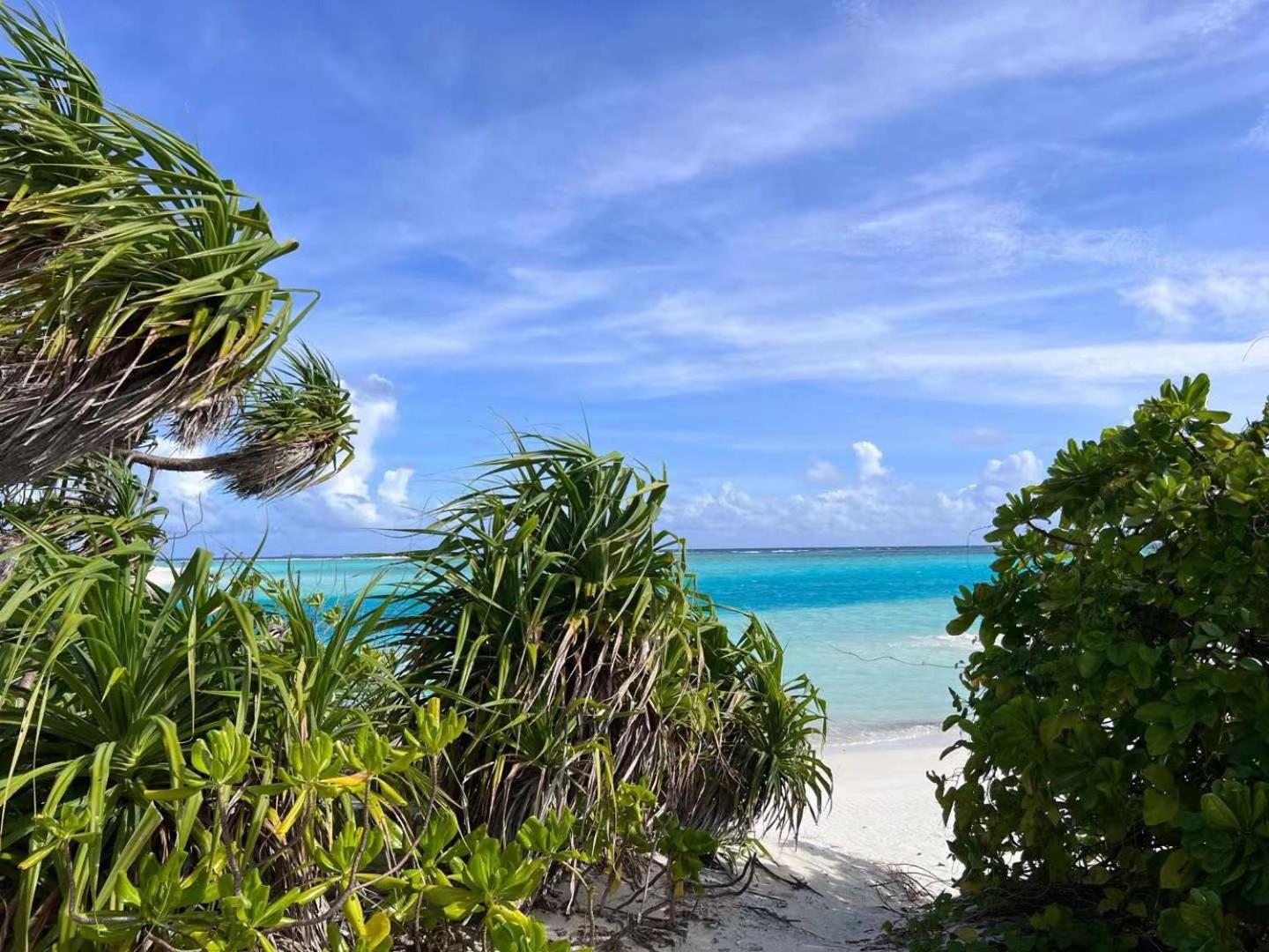 SIS Tourist Villa, Mathiveri, Maldives