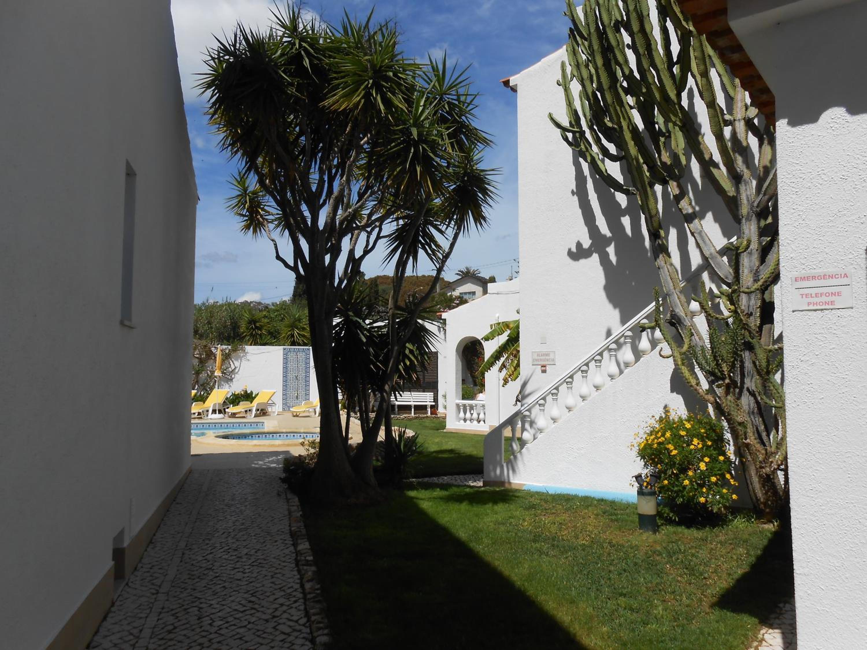 Photo 40