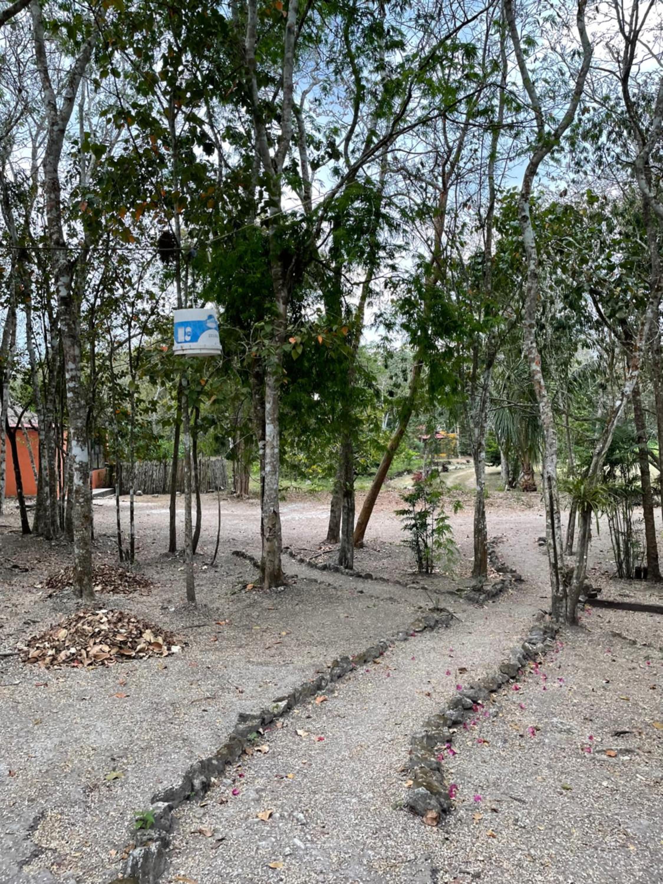 Ecohabitat Calakmul