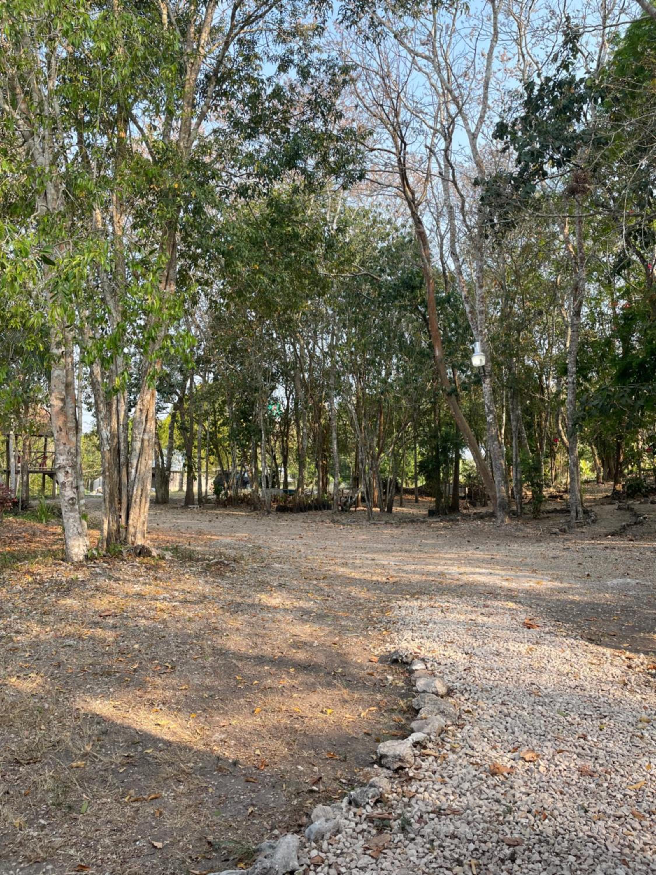 Ecohabitat Calakmul