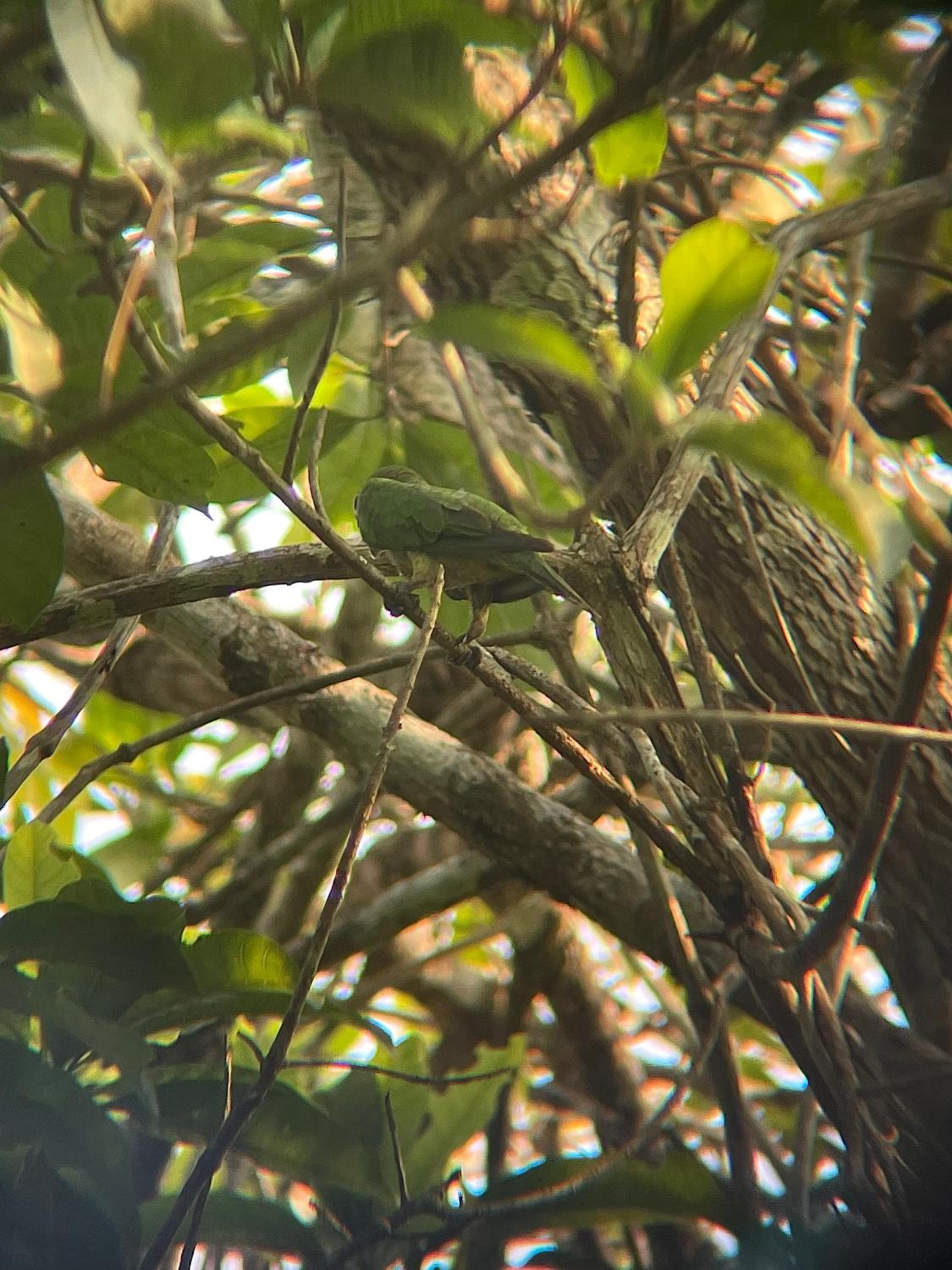 Ecohabitat Calakmul
