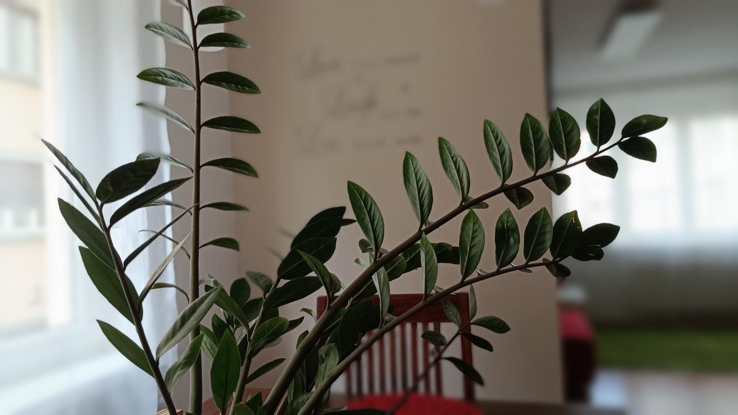 Moderne und schöne Wohnung — photo 13