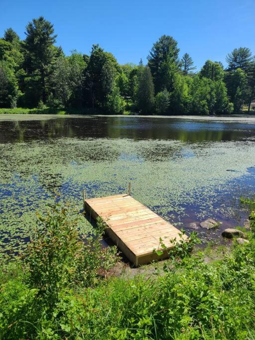 Oasis de paix sous les arbres, avec accès au quai, à 1h de Montréal