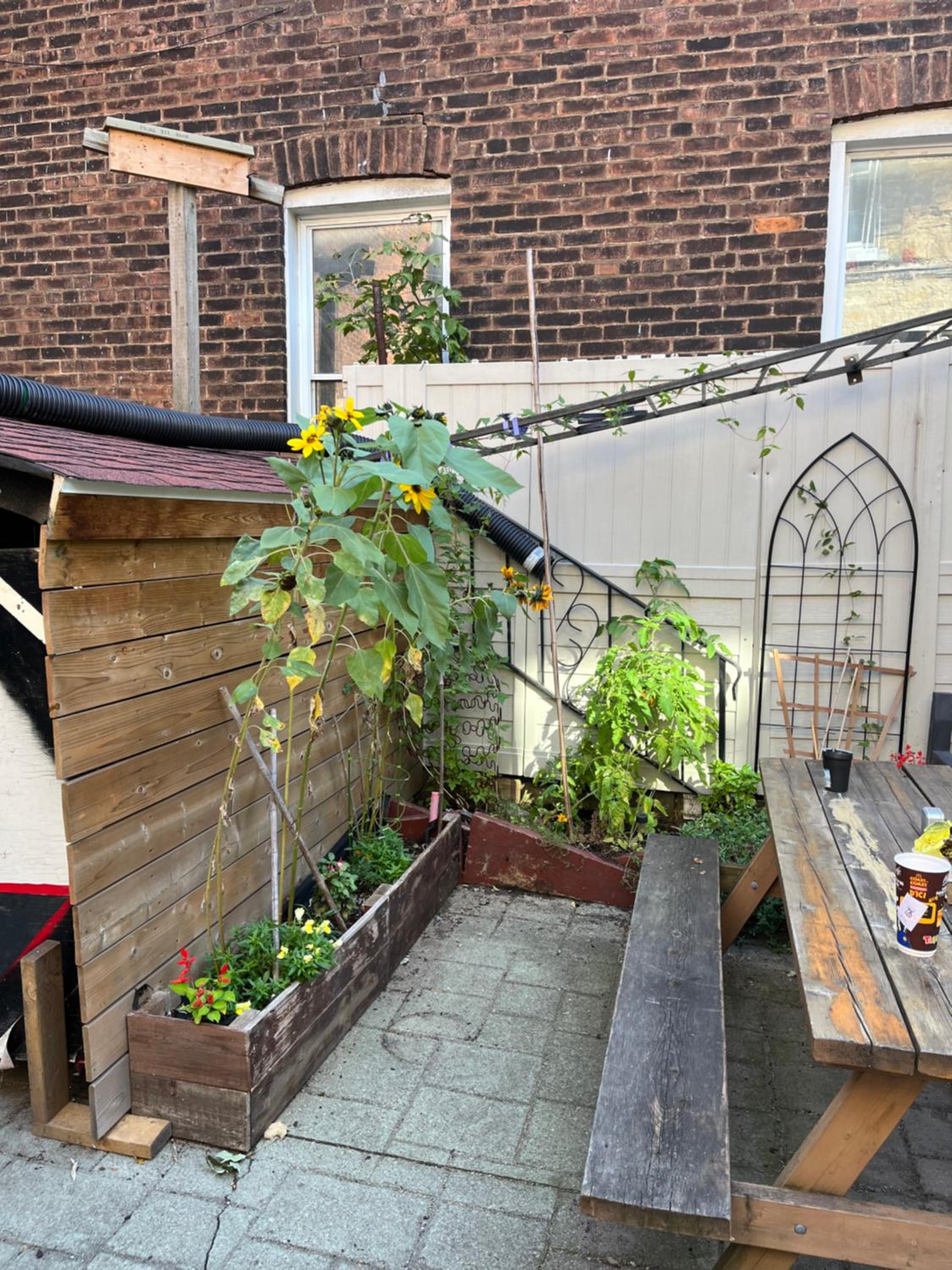 Pring Guesthouse