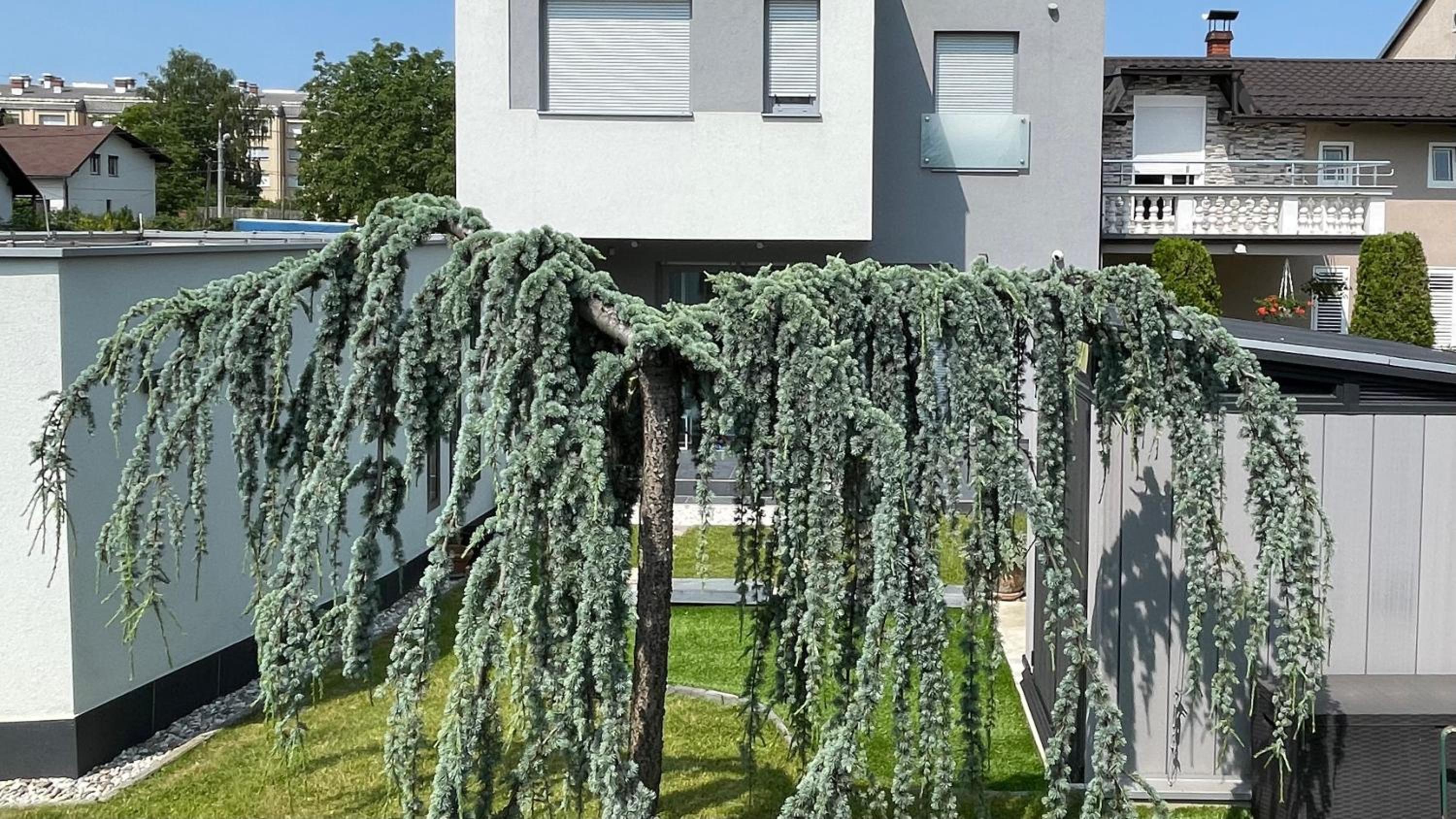 Villa Mami view 2