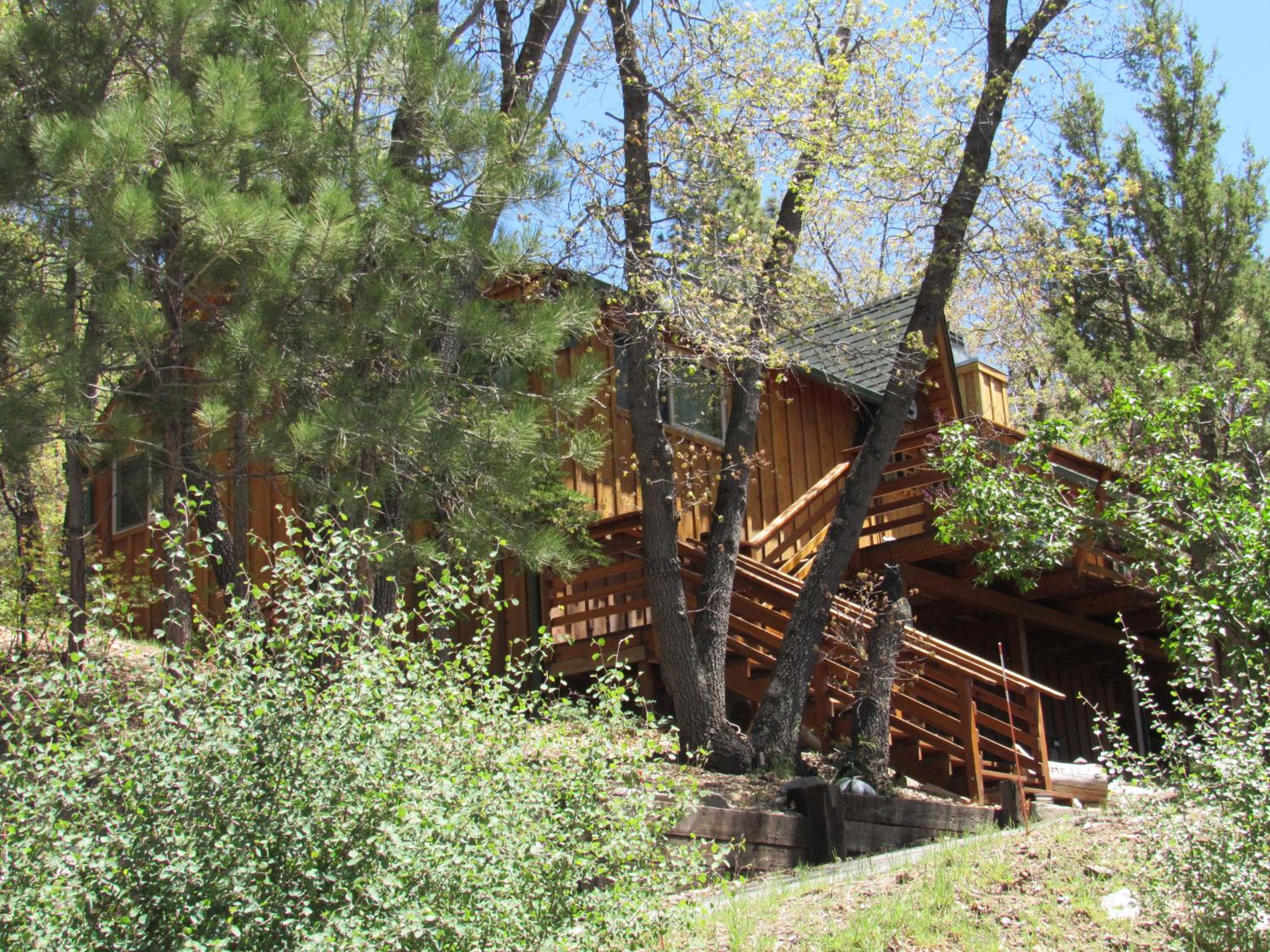 Photo 6