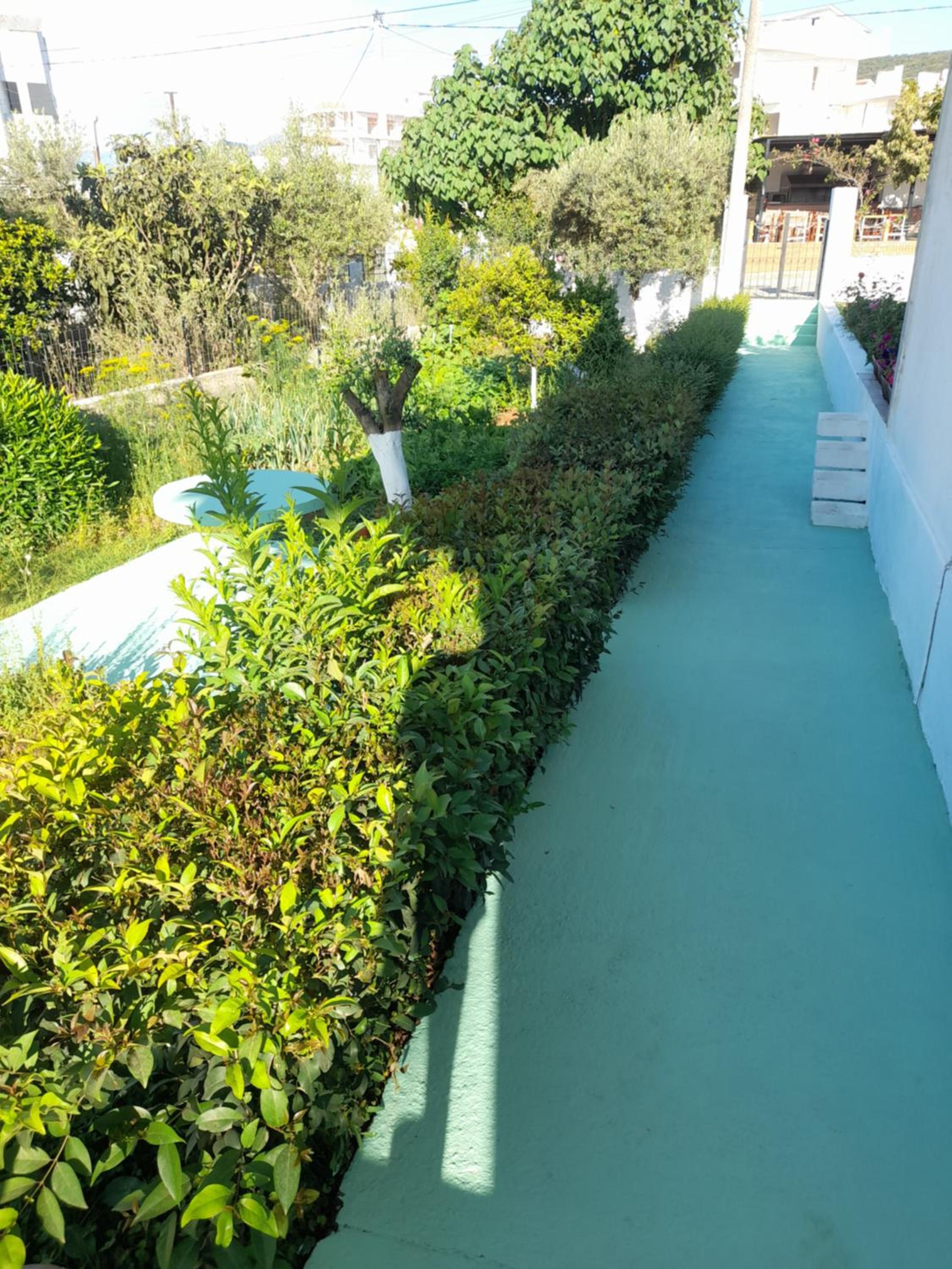 Vila F&M ksamil